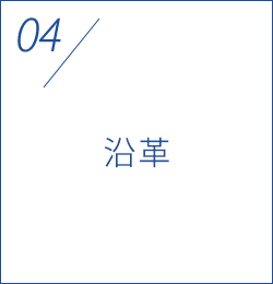 沿革